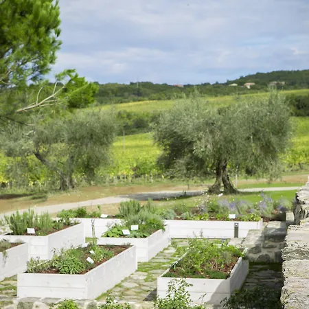 Podere Brizio (adults Only) Ξενοδοχείο